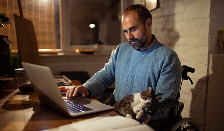 Man and Cat Work Late 