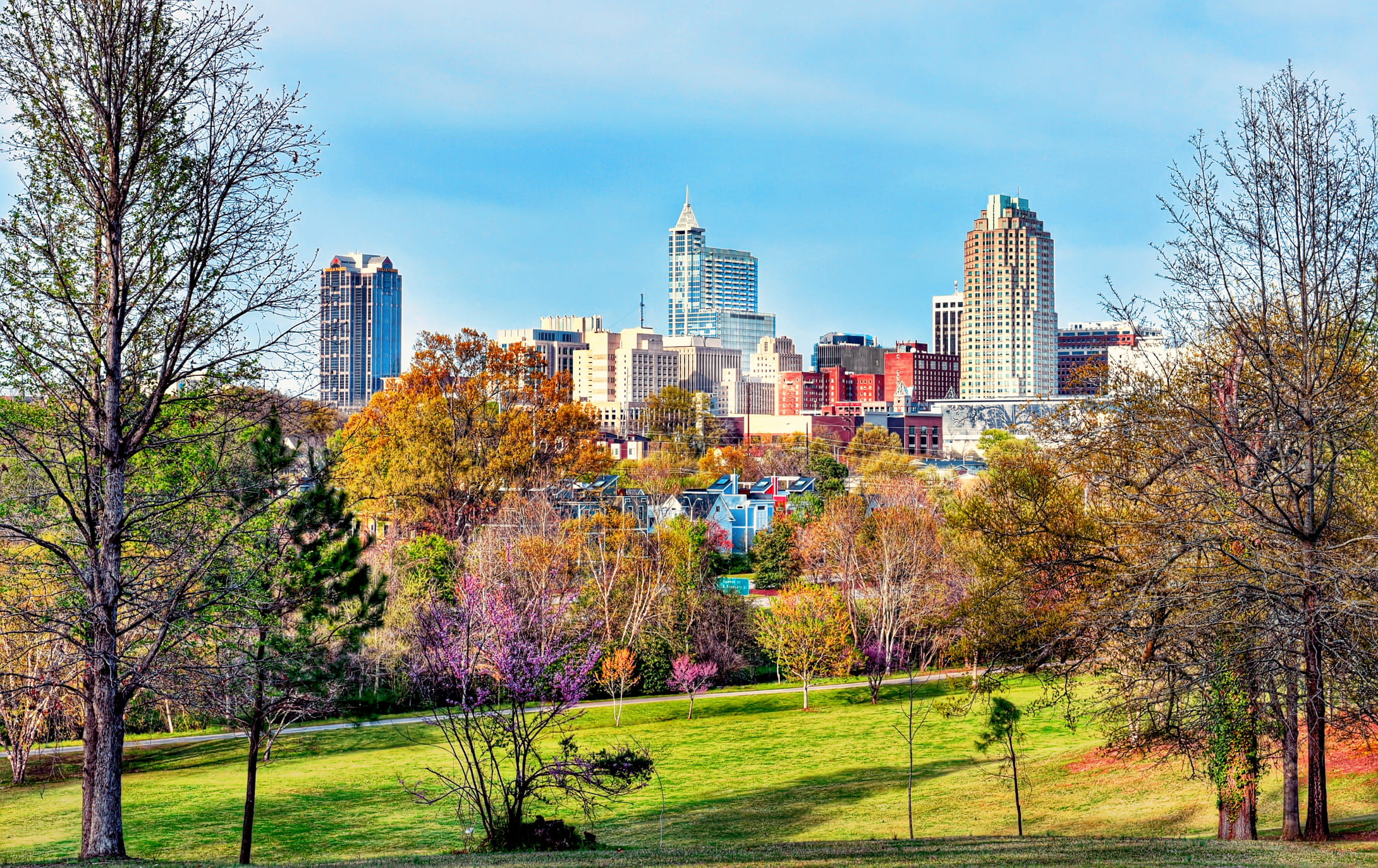 Raleigh Durham Skyline