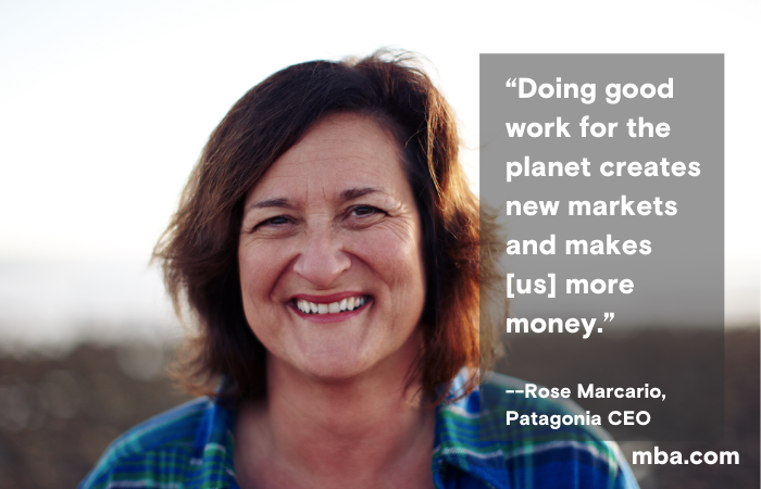 going green image quote Patagonia CEO